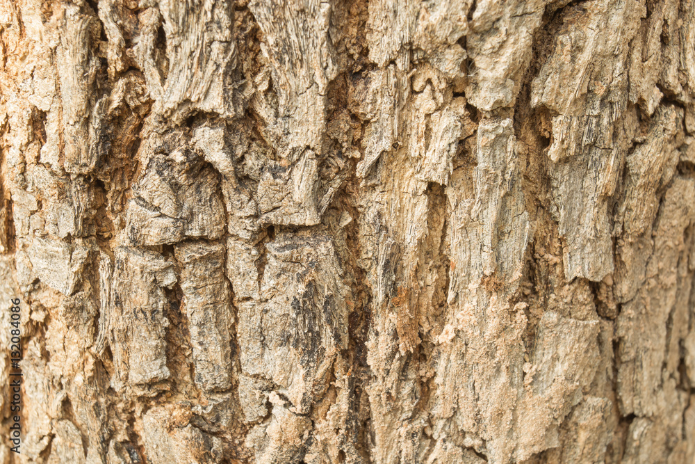 Bark pattern