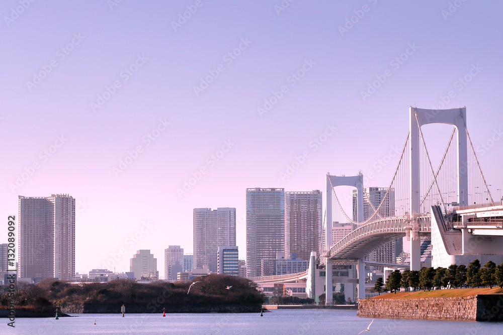 Fototapeta premium お台場の空