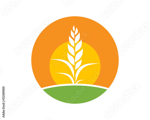 wheat harvest icon