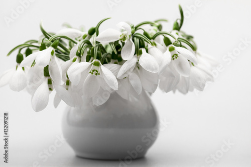 Beautiful snowdrops in a bouquet with details  