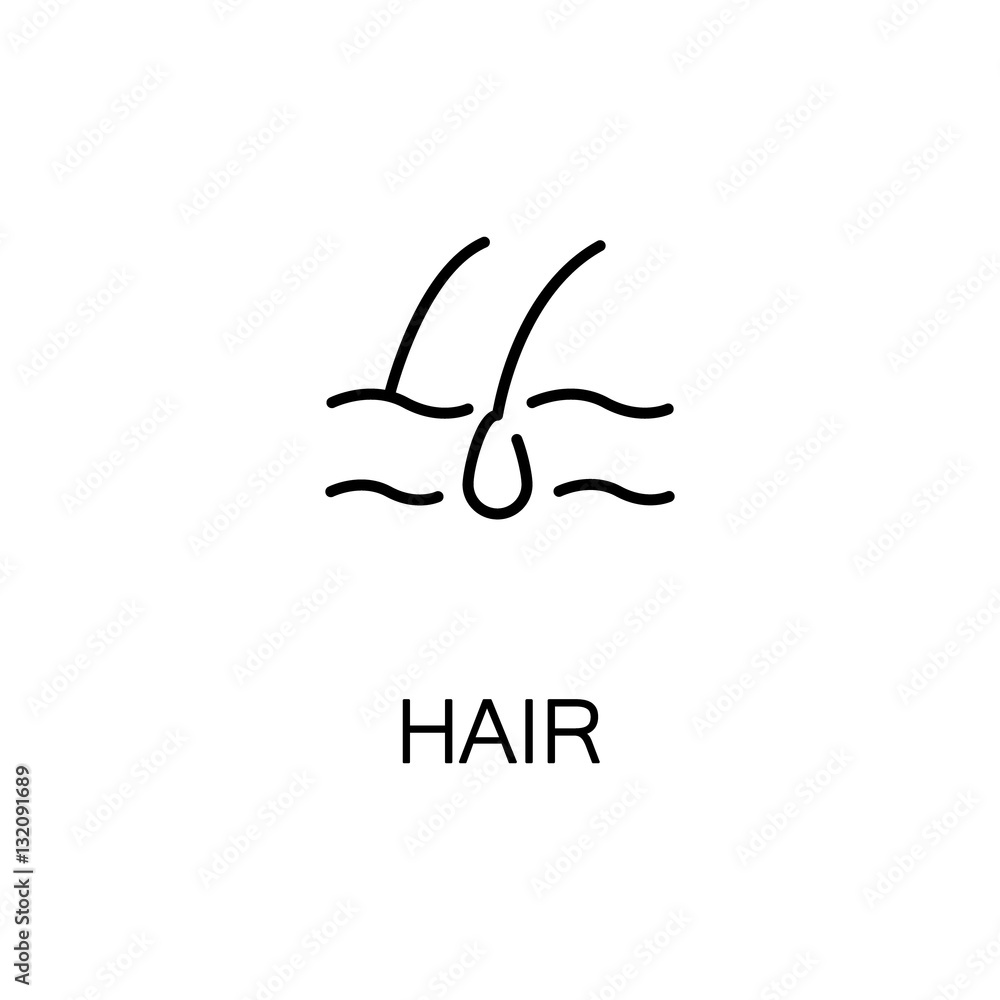 Hair flat icon or logo for web design. Hair flat icon or logo for web design.