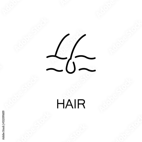 Hair flat icon or logo for web design.