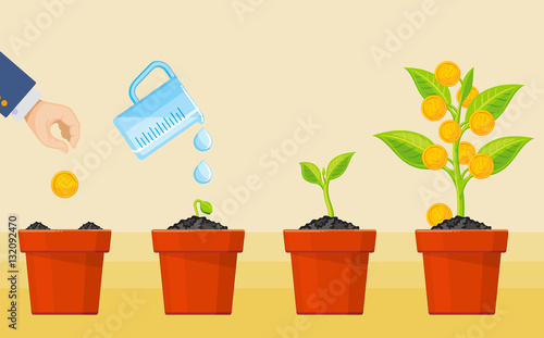 Money tree growing. Business economic investment vector concept