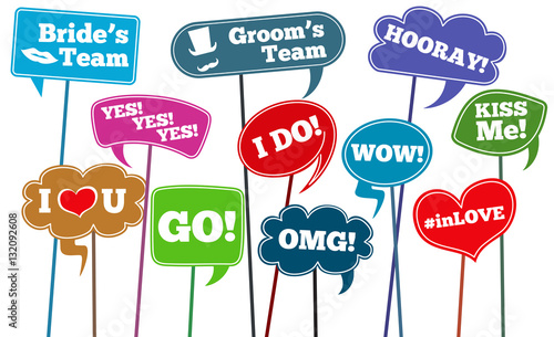 Funny weddings phrases, brides team vector photo props