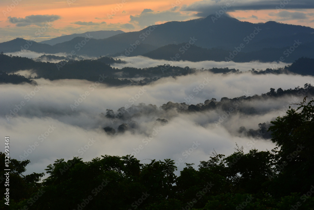 Sunrise scenery over Danum Valley Conservation Area in Lahad Datu, Sabah Borneo, Malaysia. Sunrise scenery over Danum Valley Conservation Area in Lahad Datu, Sabah Borneo, Malaysia.