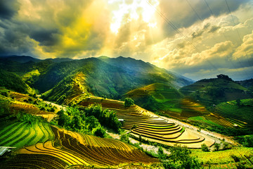 Deken met foto Rijstvelden Terrasvormige rijstvelden Mu Cang Chai Vietnam  © vutuankhanh