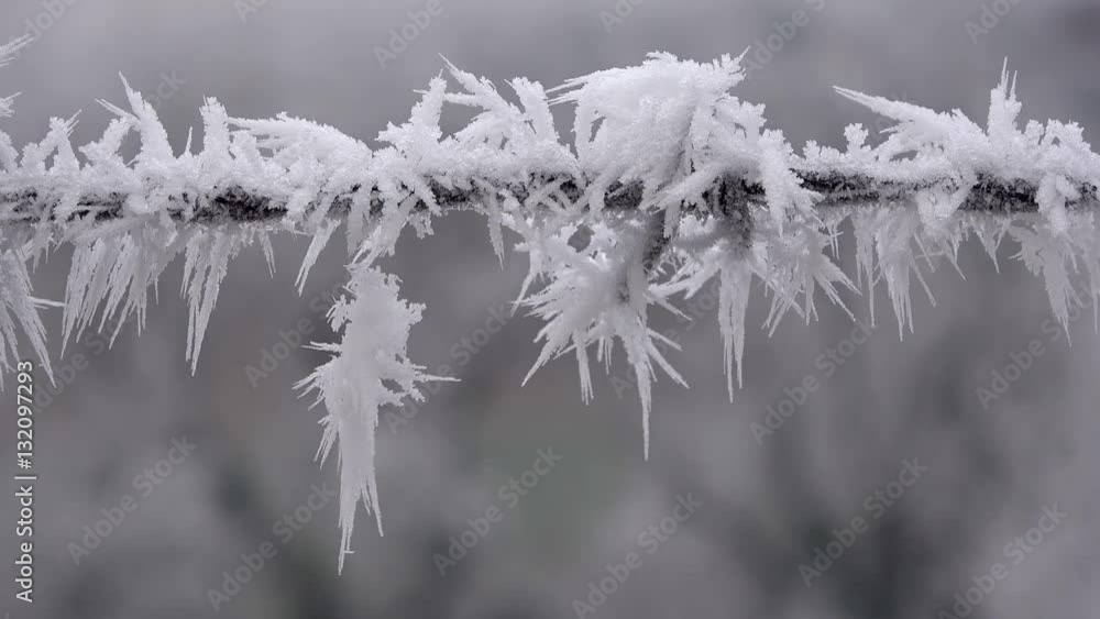 Raureif an Draht, Raureifkristalle, Eiskristalle, Rotation Raureif an Draht, Raureifkristalle, Eiskristalle, Rotation