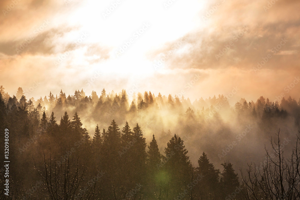 Naklejka premium Fog in mountains