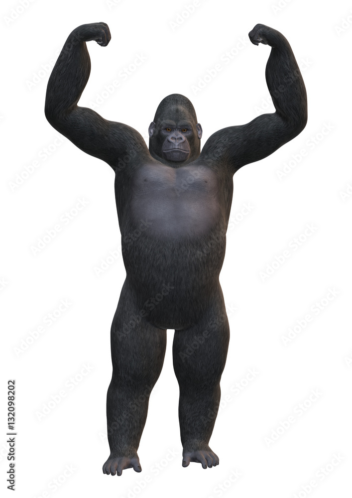3D Rendering Gorilla on White 3D Rendering Gorilla on White