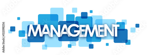 MANAGEMENT Vector Letters Icon