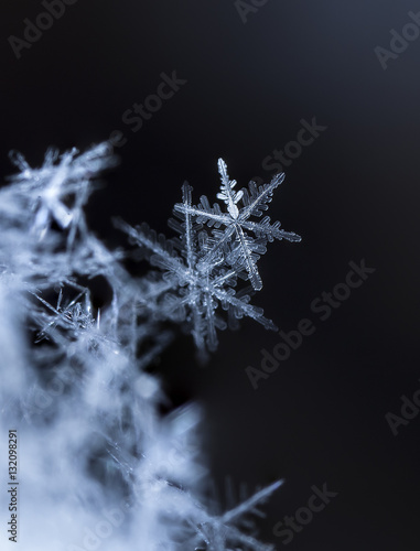 photo real snowflakes during a snowfall, under natural conditions at low temperature © vadim_fl