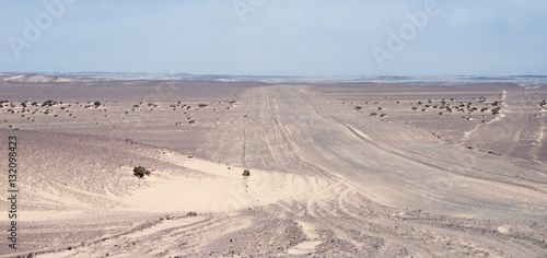 desert landscape