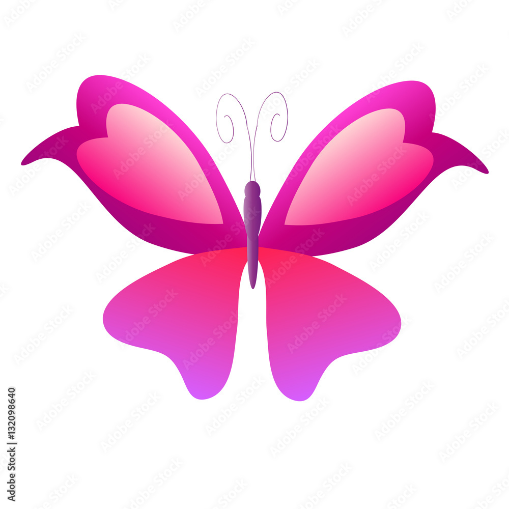 beautiful butterflies, isolated on a white beautiful butterflies, isolated on a white