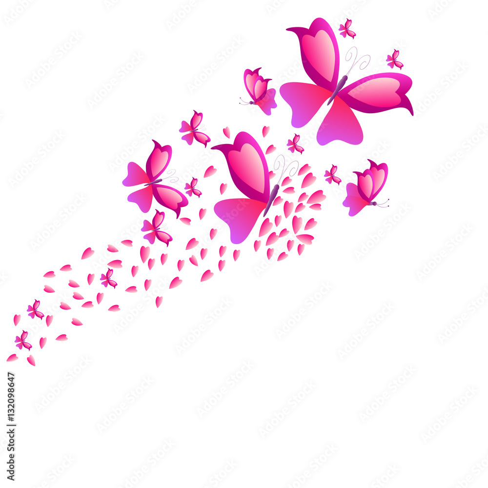beautiful butterflies, isolated on a white beautiful butterflies, isolated on a white