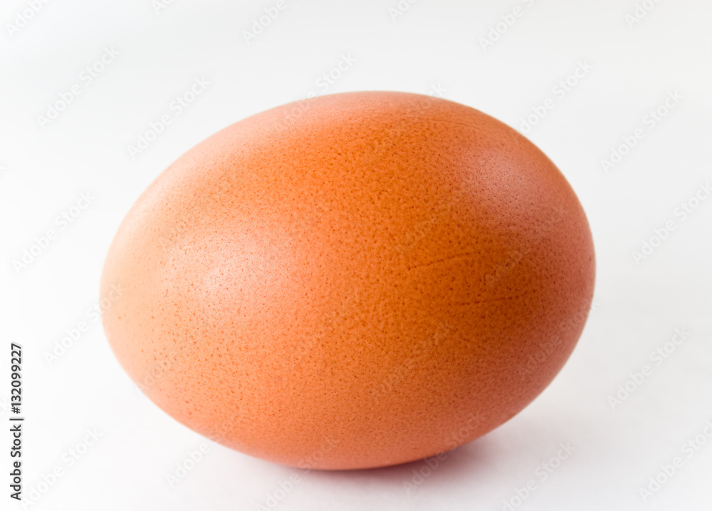 One egg on a white background One egg on a white background
