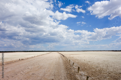 Etosha landscape