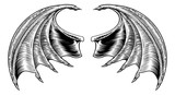 Bat or Dragon Wings