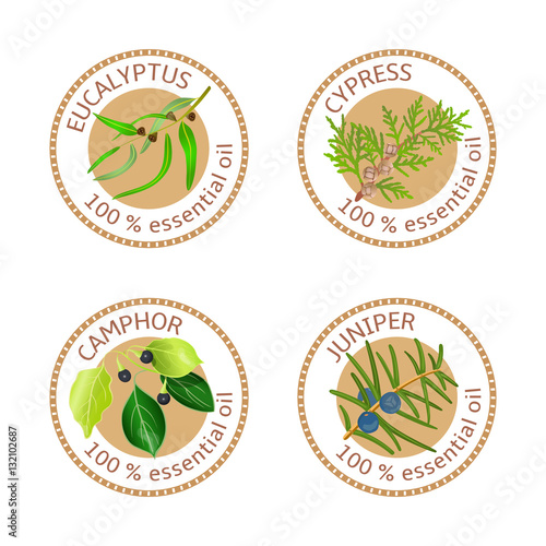 Set of essential oils labels. Eucalyptus, cypress, camphor, juniper