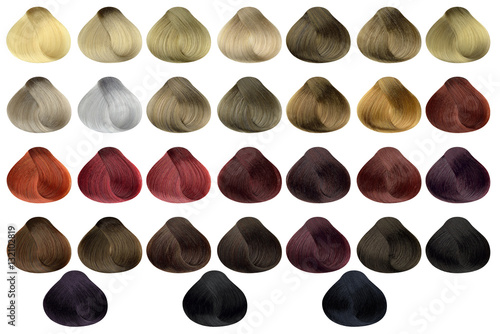 Complete set of locks of all the most used hair color samples, rounded shape, isolated on white background, clipping path included