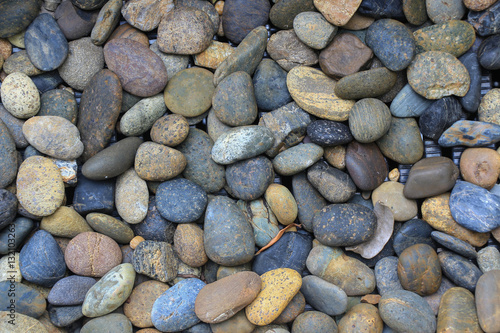 These nice little round colored pebbles were found alongside the beach where a river empties. This lovely natural pattern of pebbles and stones are a treasure of nature.