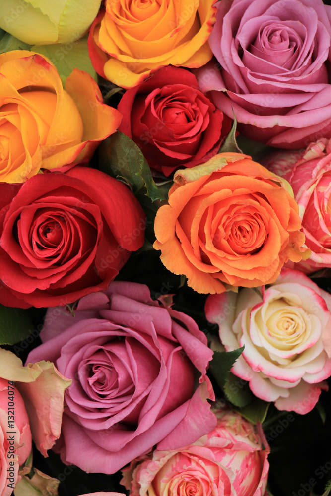 Multicolored wedding roses