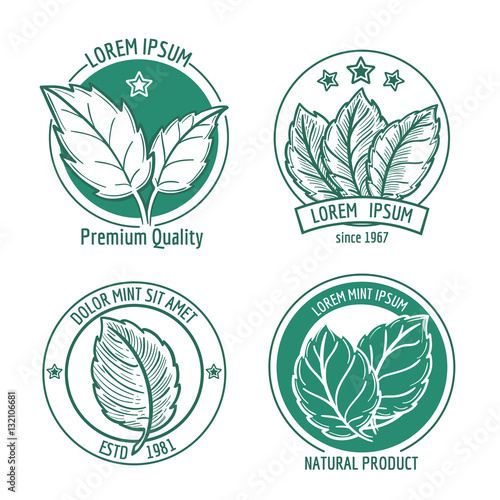 Vector mint leaf logo icons or menthol spearmint labels