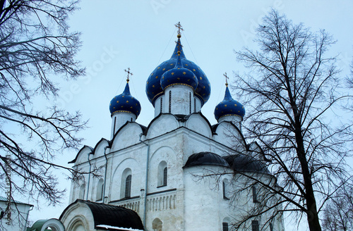 Cathedral of the Nativity  the Virgin in Suzdal in winter season closeup with trees