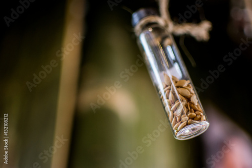 Seeds in glass jar