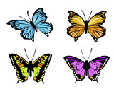 Schmetterlinge - 3