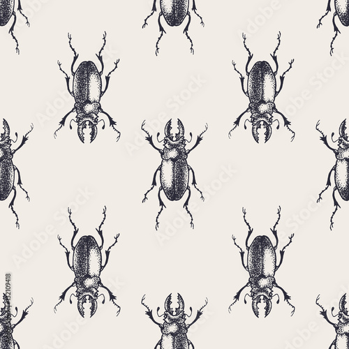 Beetle vintage seamless pattern