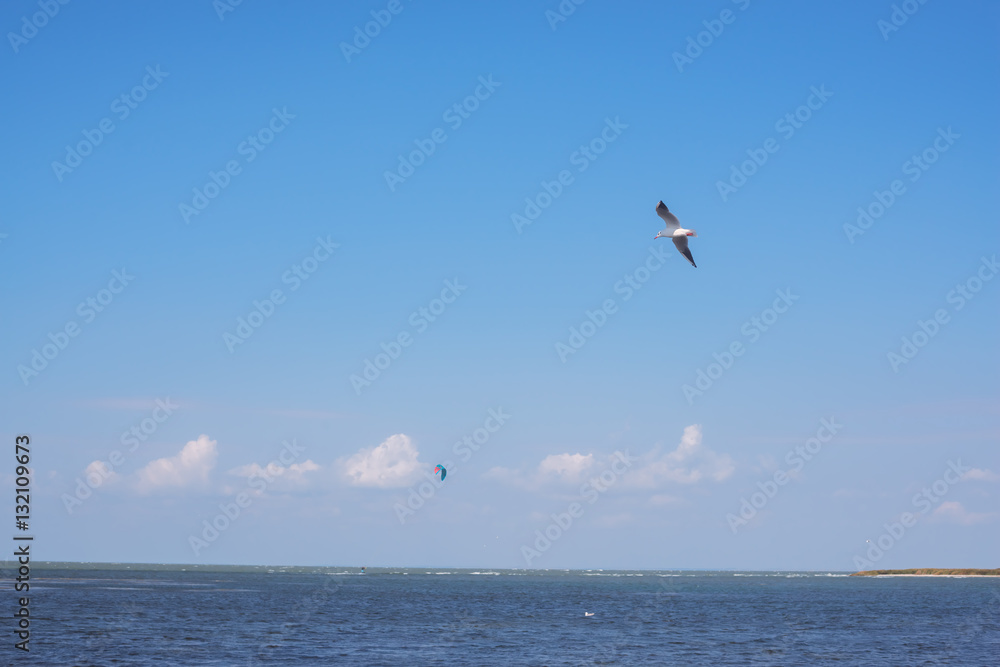 Bird flying over sea and on the horizon is seen kite Bird flying over sea and on the horizon is seen kite