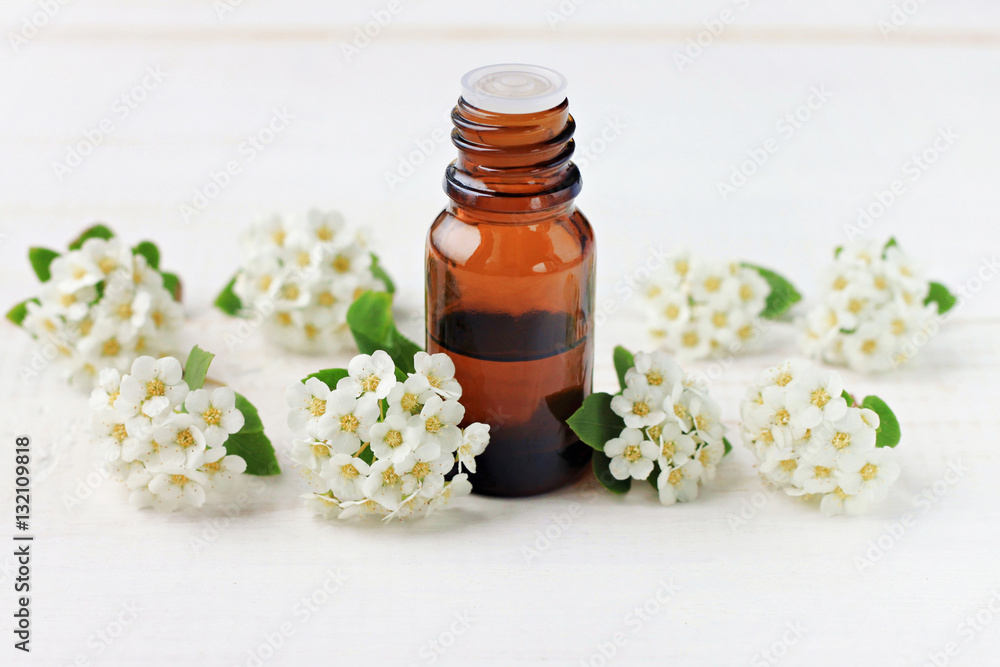 Dark glass apothecary essential oil dropper bottle amidst tender soft spring aromatic blossom, white copyscpace background. Natural remedy flower tincture. Dark glass apothecary essential oil dropper bottle amidst tender soft spring aromatic blossom, white copyscpace background. Natural remedy flower tincture.
