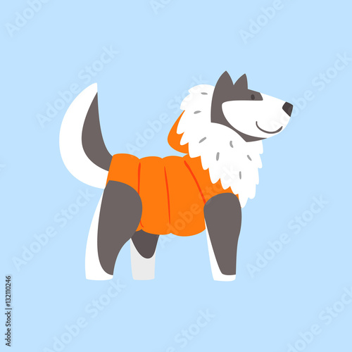 Husky Dog In Padded Coat, Arctic Animal Dressed In Winter Human Clothes Cartoon Character