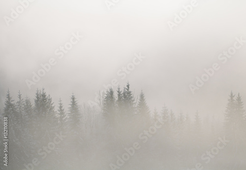 Fototapeta Naklejka Na Ścianę i Meble -  Winter mountains in Europe