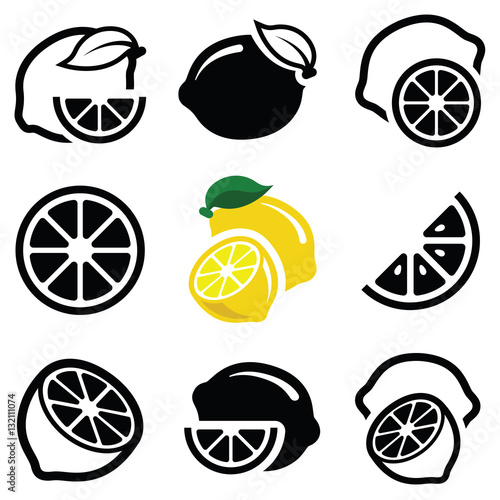 Lemon fruit icon collection -  outline and silhouette illustration