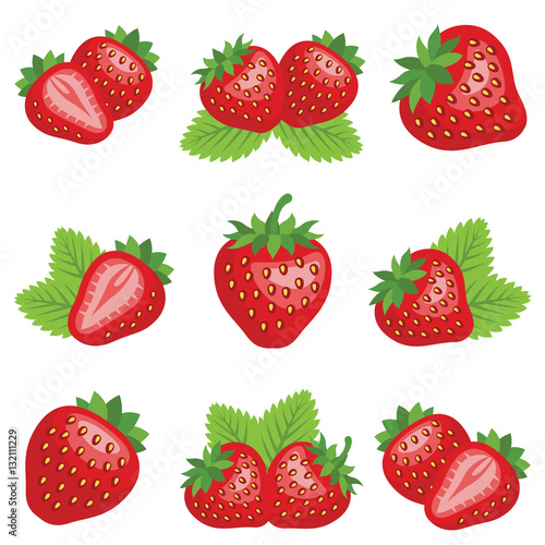 Fototapeta Naklejka Na Ścianę i Meble -  Strawberry collection - color illustration