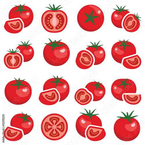 Tomato collection - color illustration