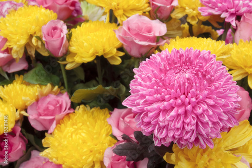 beautiful pink and yellow chrysanthemum bouquet colorful flower