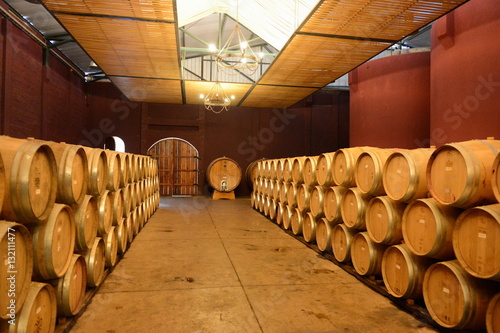 Wine barrels at the winery Viu Manent. photo