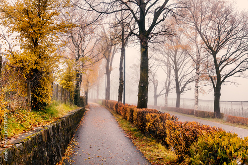 Asphalt road through the autumn forest in the fog