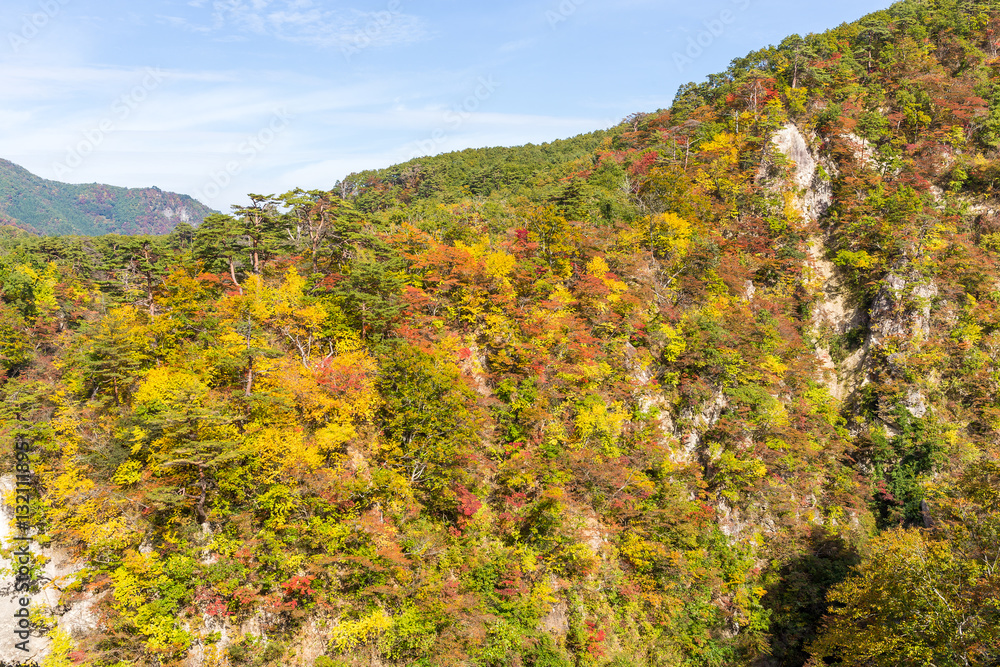 Naruko Gorge in autumn Naruko Gorge in autumn