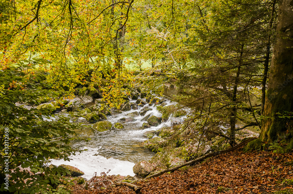 Noiraigue, Val de Travers, Jura, Areuse, Fluss, Areuseschlucht, Schlucht, Wald, Wanderweg, Herbst, Herbstwanderung, Herbstlaub, Herbstfarben, Schweiz Noiraigue, Val de Travers, Jura, Areuse, Fluss, Areuseschlucht, Schlucht, Wald, Wanderweg, Herbst, Herbstwanderung, Herbstlaub, Herbstfarben, Schweiz