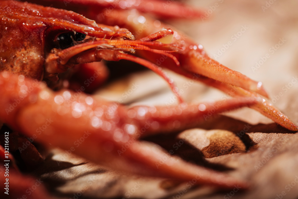 Close up of a crayfish lying on wooden tray