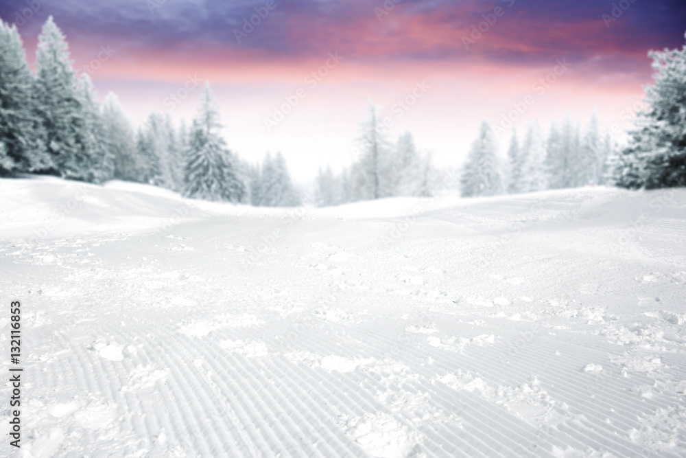 Obraz premium winter time and snow space 