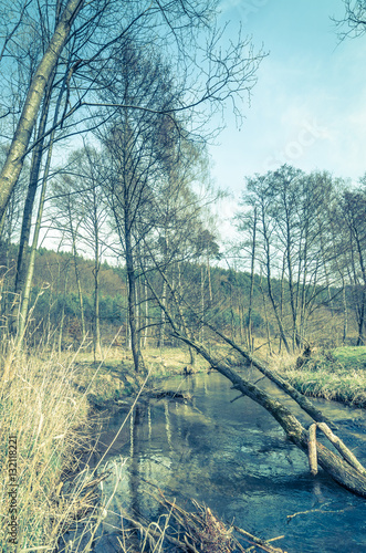 Landscape of river in the forest in spring, countryside scenery