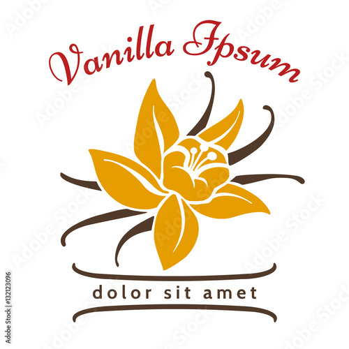 Vanilla dessert flavor logo. Vanillas aromatic flower and bean silhouette vector icon isolated on white background