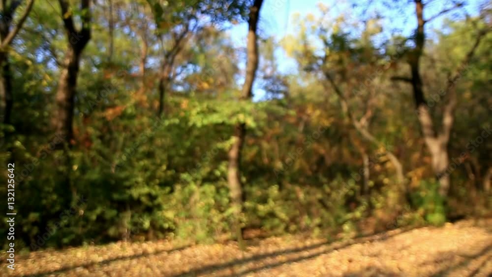 Falling leaves in slow motion. Colorful fall season scene. Falling leaves in slow motion. Colorful fall season scene.