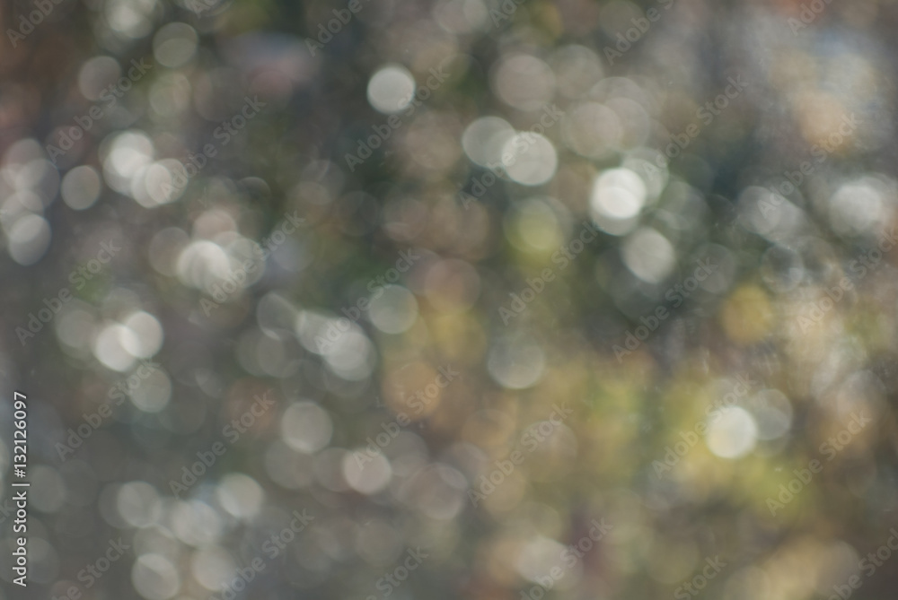 Bokeh Bokeh