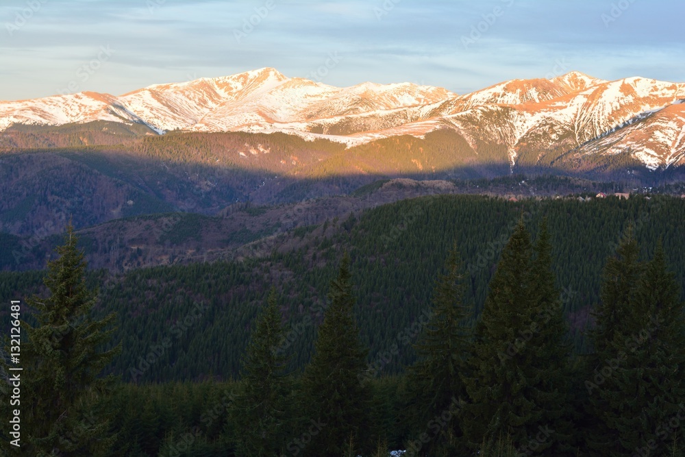 Obraz premium Mountaines and pine trees