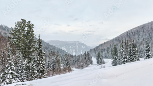 Panorama winter landscape.